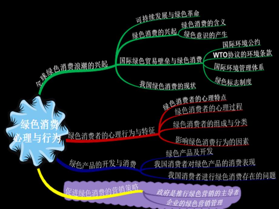 消费者心理学绿色消费_第3页