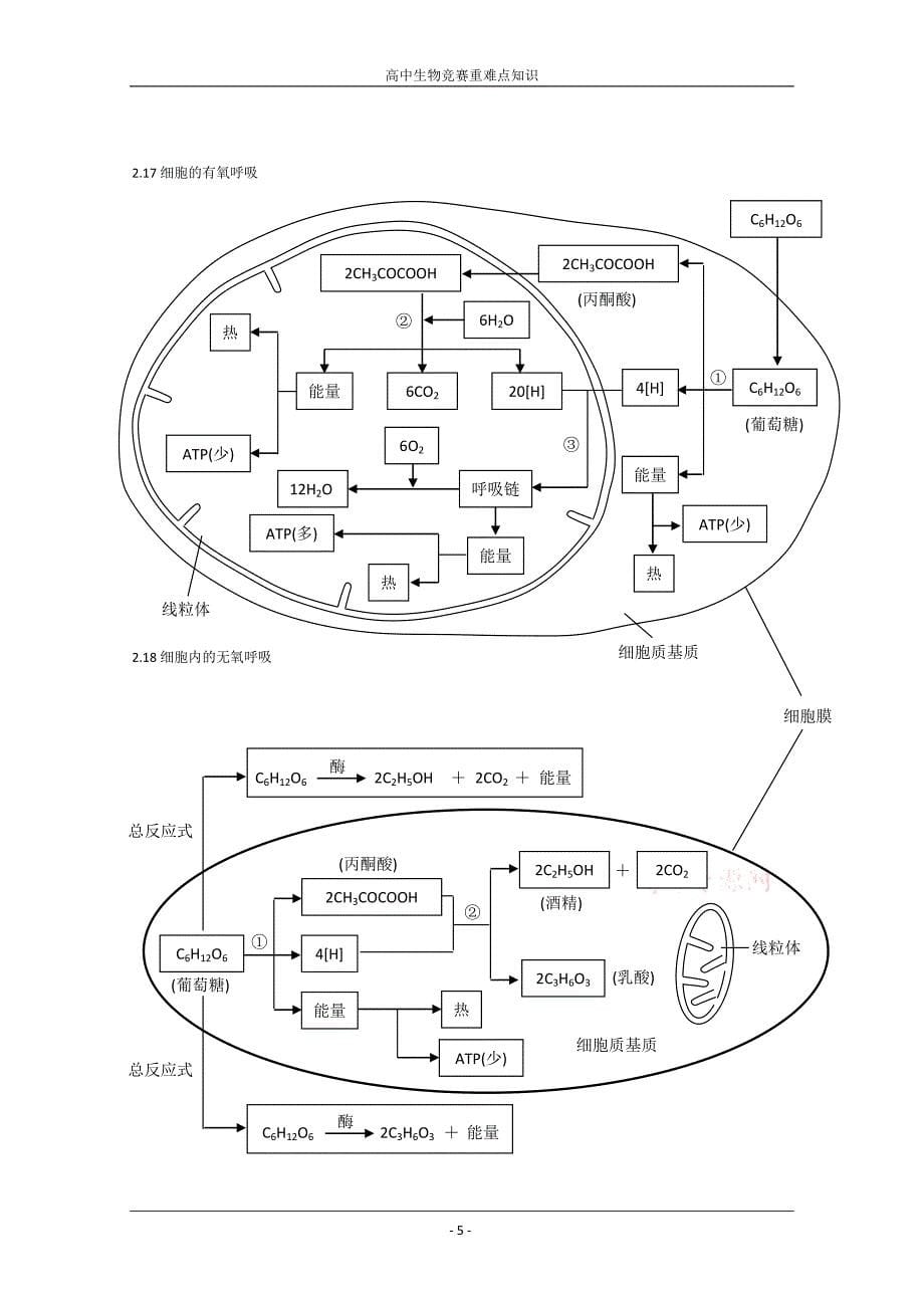 高中生物竞赛知识总结.doc_第5页