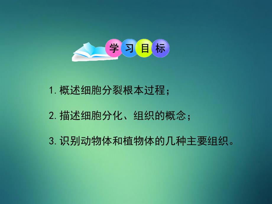 七年级生物上册1.2.2细胞的分裂与分化课件新版济南版_第3页