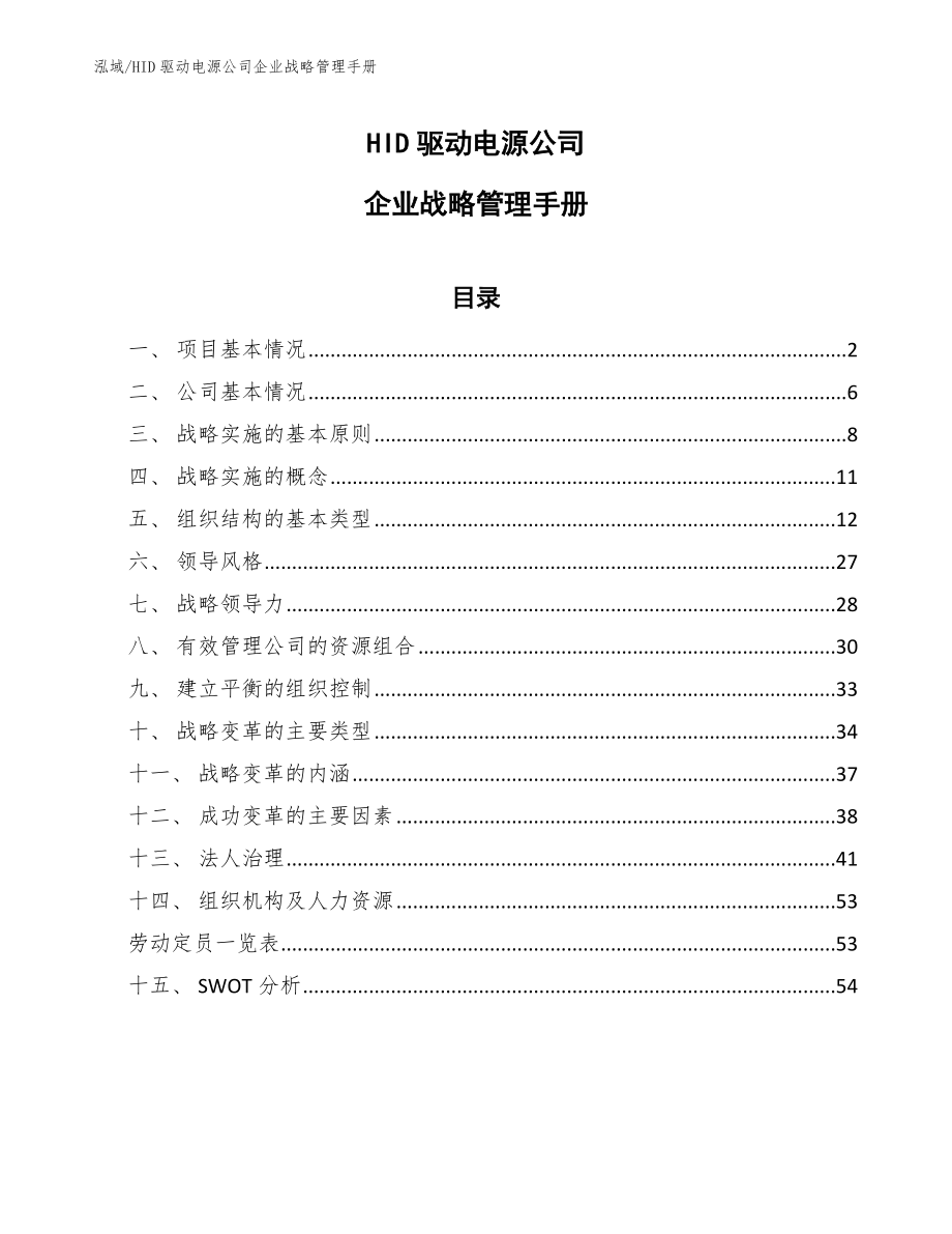 HID驱动电源公司企业战略管理手册（范文）_第1页