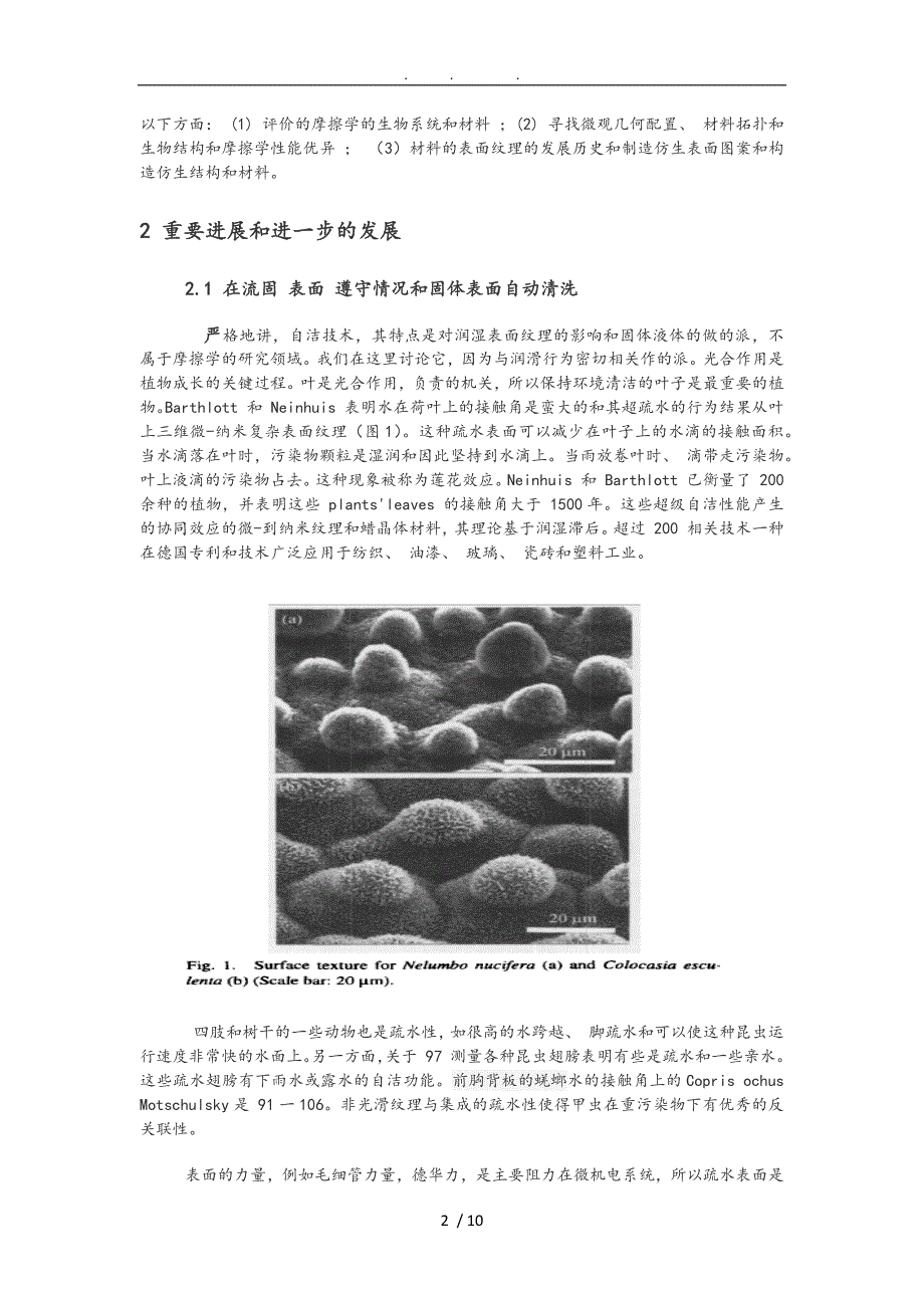 仿生学在摩擦中的发展研究_第2页