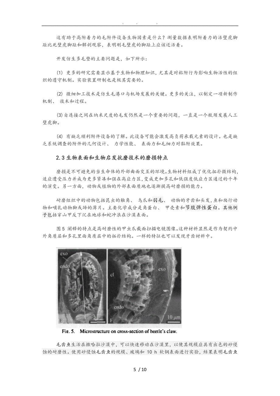 仿生学在摩擦中的发展研究_第5页