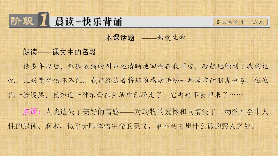 苏教版语文选修现代散文选读02北京的节、鞋的故事、怀念红狐ppt课件_第2页