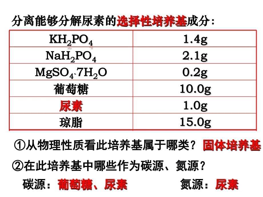 课件：分离以尿素为氮源的微生物上课.ppt_第5页