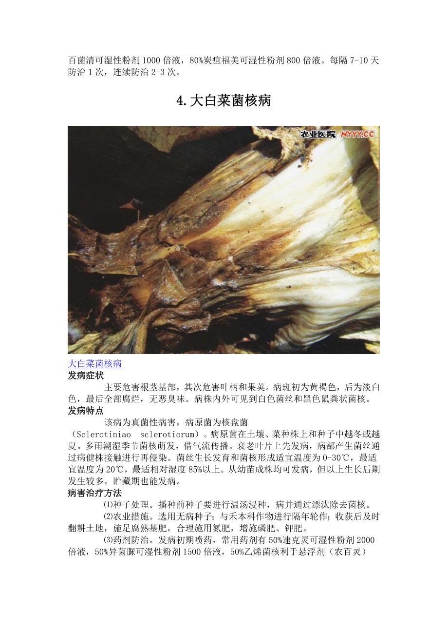 大白菜病虫害图谱及防治方法.doc_第4页