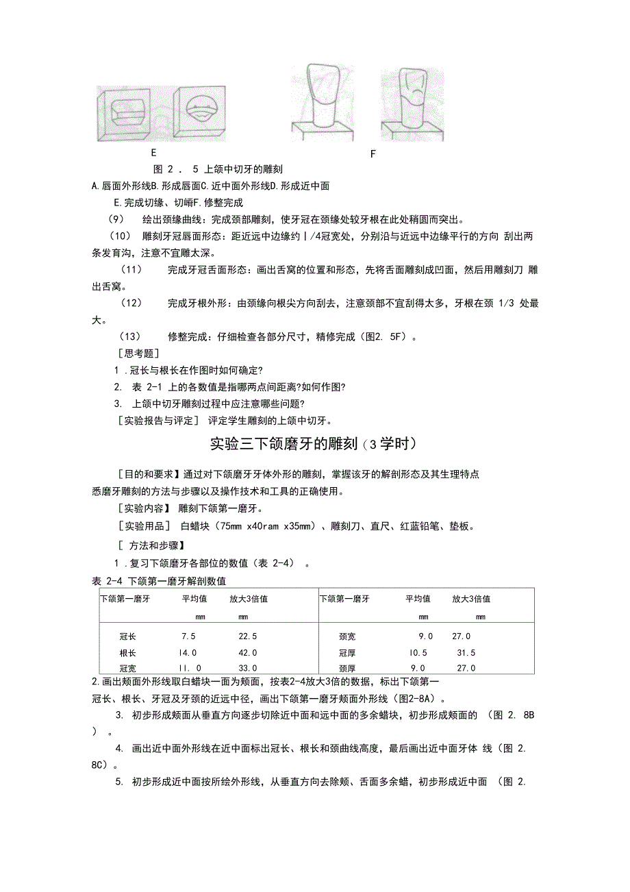 口腔解剖生理学实验指导_第4页