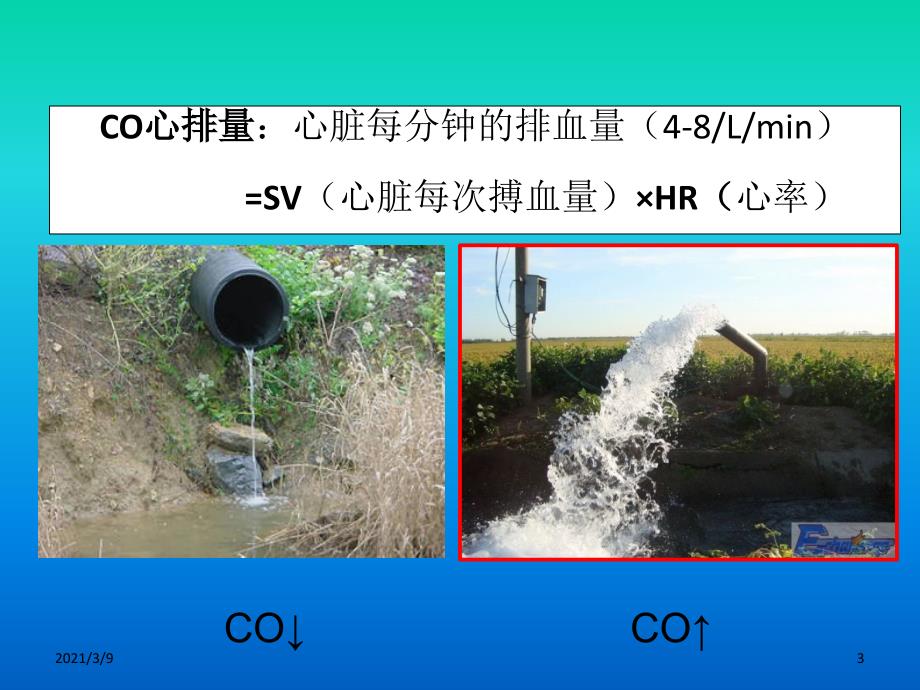 PICCO参数解读完整PPT课件_第3页