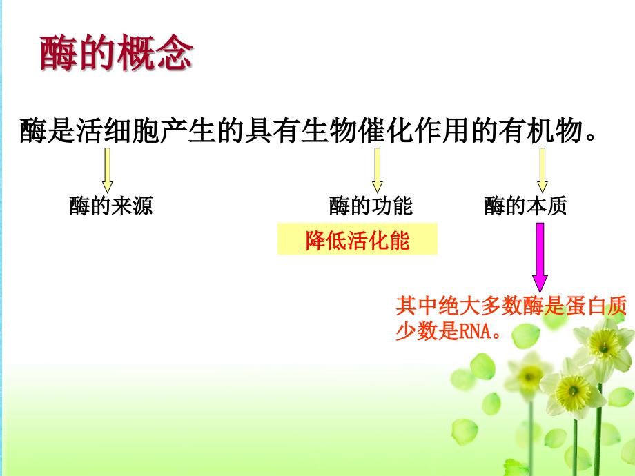 影响酶活性的条件ppt课件_第3页