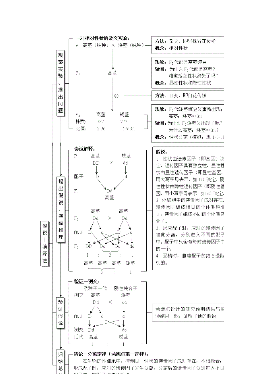 必修2《遗传与进化》第1章 遗传因子的发现知识系统表解.doc_第2页