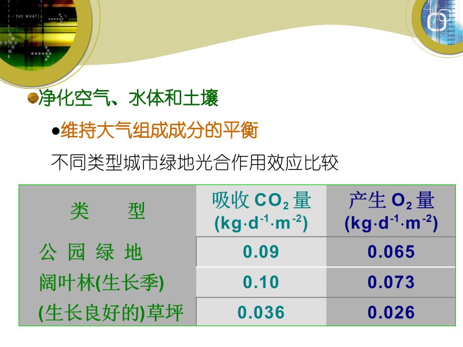 城市园绿地的功能和作用_第4页