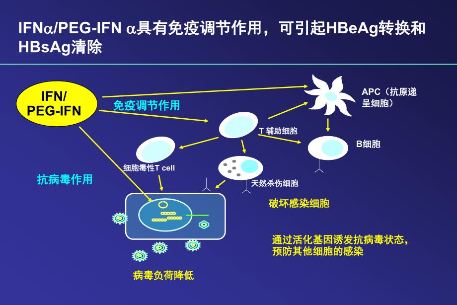 正确认识干扰素带来的HBeAg转换_第4页