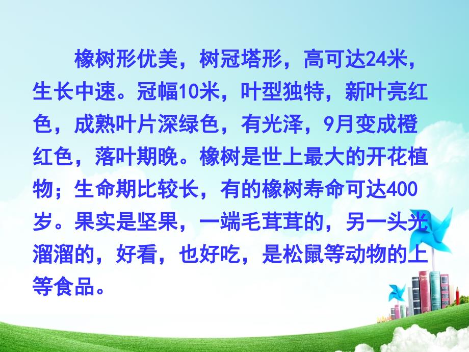 小学语文三年级第二单元路路旁的橡树公开课教案教学设计课件公开课教案教学设计课件_第3页