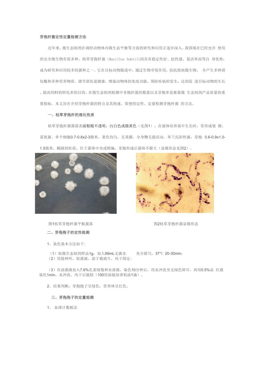 芽孢的理化性质、芽孢率的定性与定量检测方法_第1页
