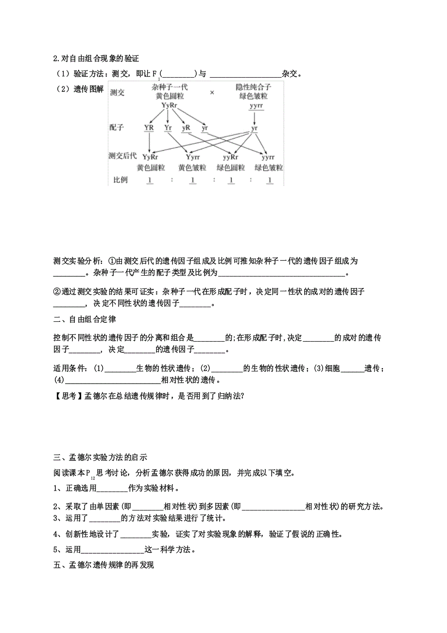 1.2 孟德尔的豌豆杂交实验(二)-高中生物必修二导学案_第3页