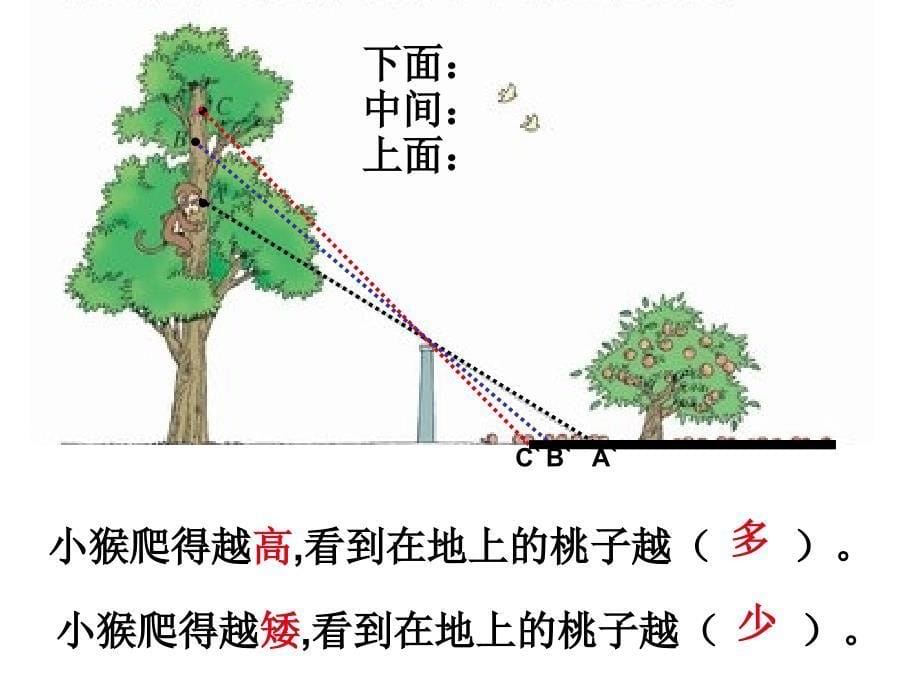 北师大版数学六年级上册《观察的范围》课件_第5页