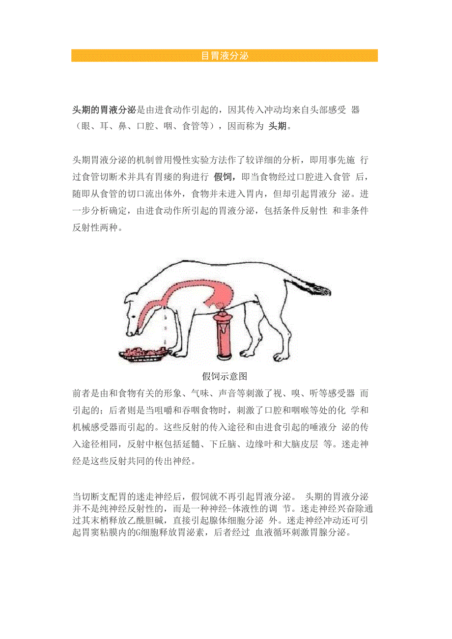 进食后胃液的分泌机制_第4页