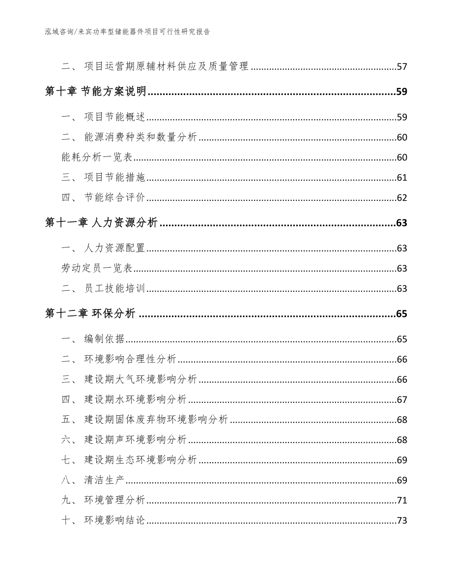 来宾功率型储能器件项目可行性研究报告_第4页