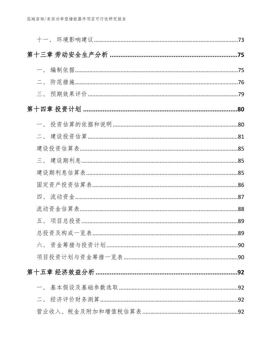 来宾功率型储能器件项目可行性研究报告_第5页