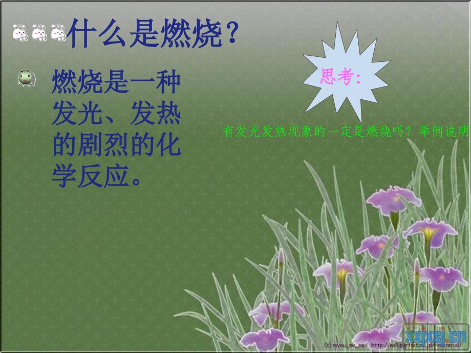 四章一节常见的化学反应燃烧_第4页