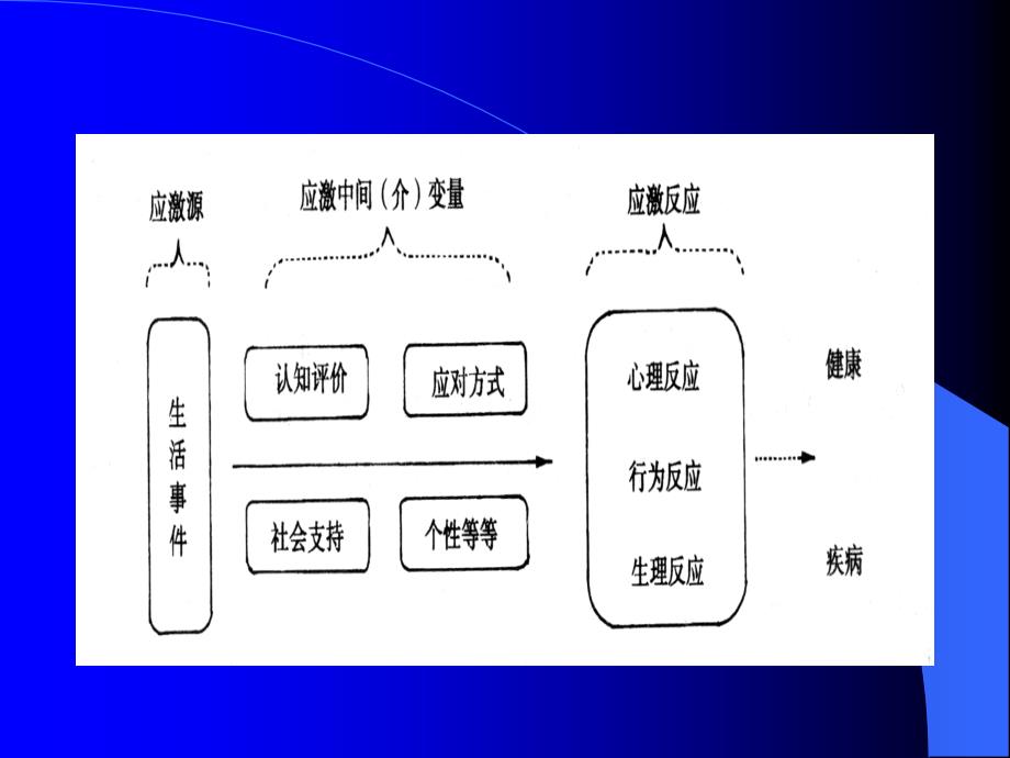 心理应激Psychologicalstress_第3页