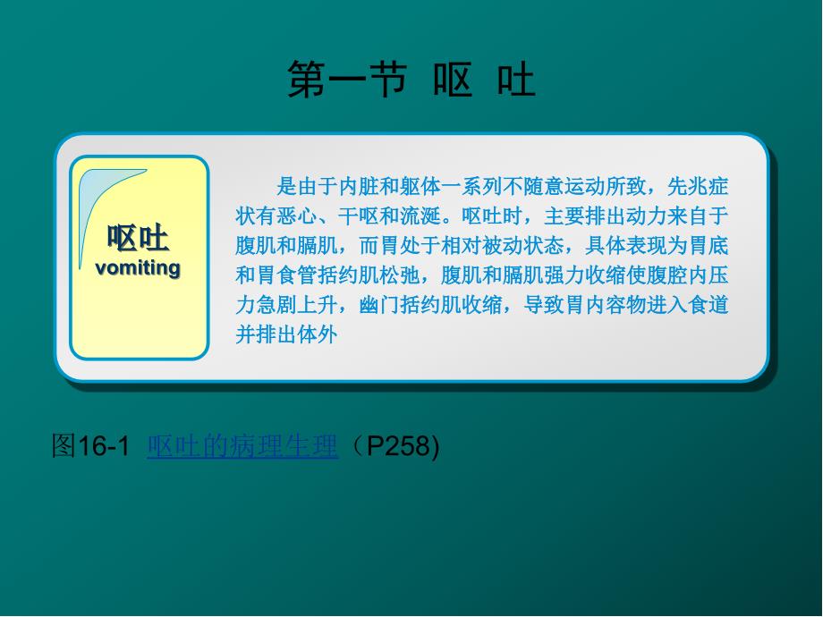 呕吐与腹泻医学PPT课件_第2页