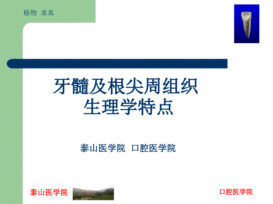 牙髓及根尖周的组织学特点_第1页