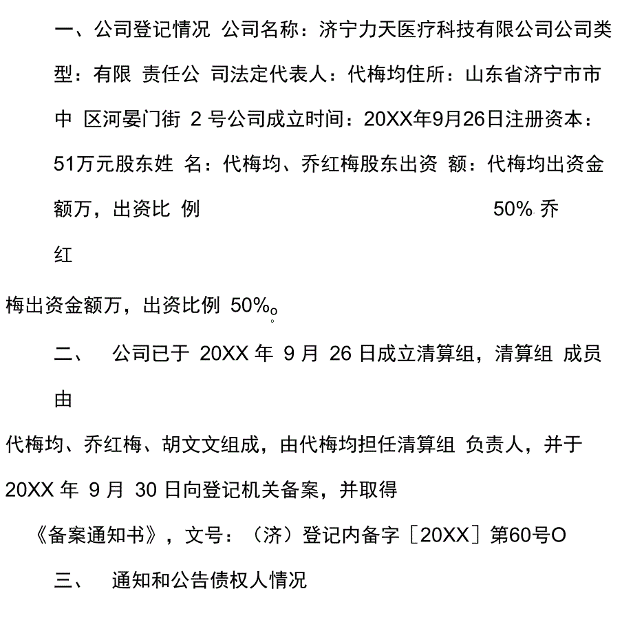 清算报告表格_第5页