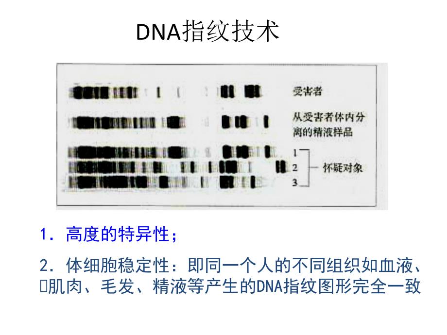 生物必修34基因是有遗传效应的DNA片段PPT课件_第3页