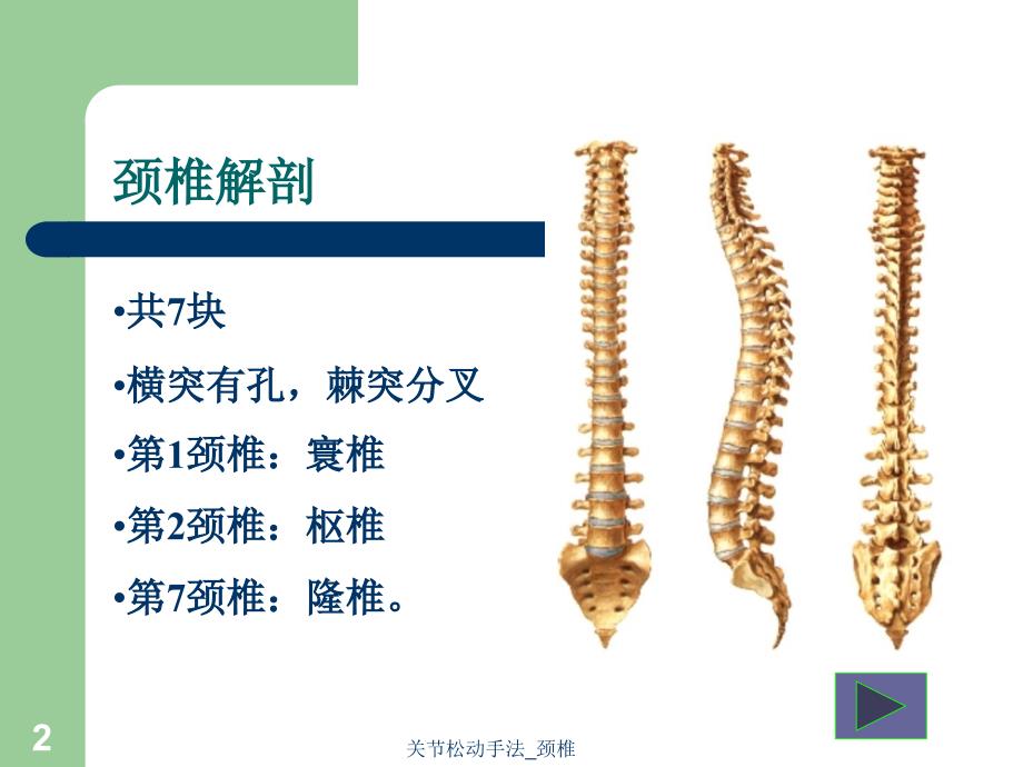 关节松动手法颈椎课件_第2页