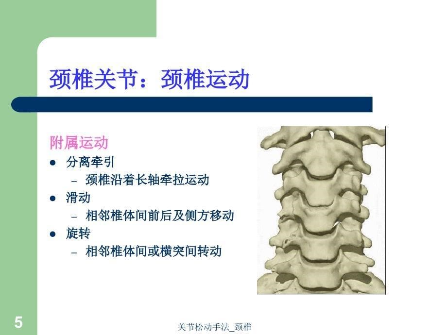 关节松动手法颈椎课件_第5页