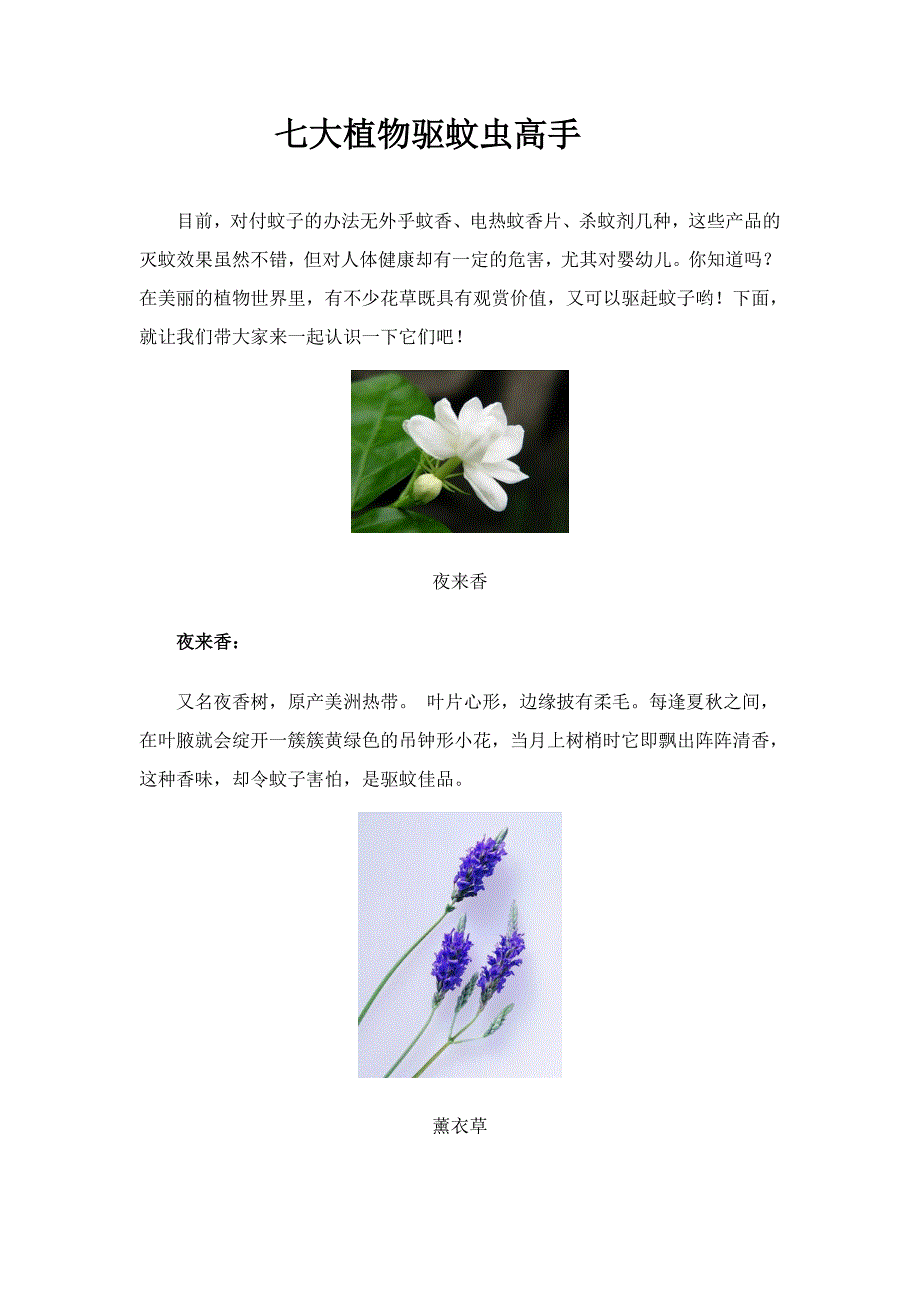 七大植物驱蚊虫高手.doc_第1页