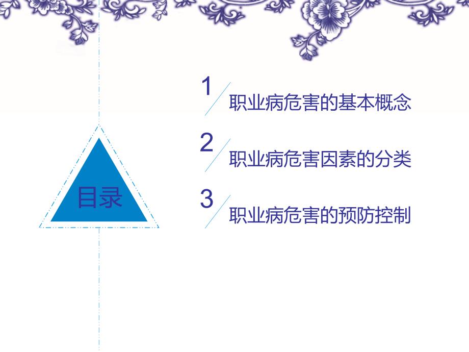 职业病危害及其预防措施知识培训ppt课件_第2页