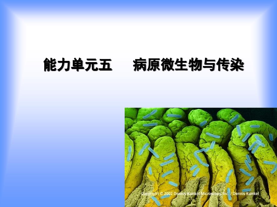 《病原微生物与传染》PPT课件_第1页