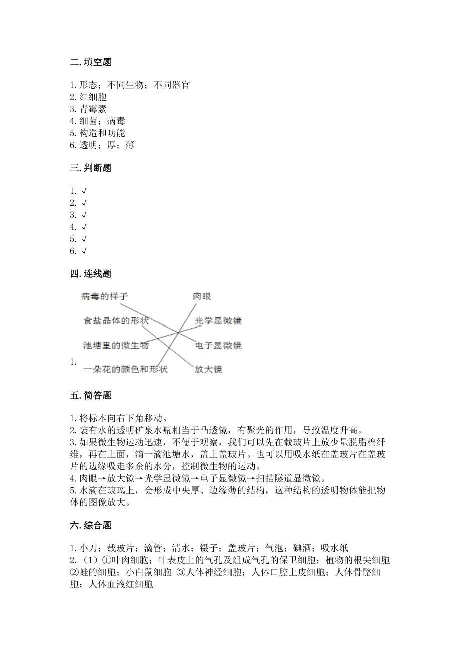 教科版科学一年级上册第二单元《比较与测量》测试卷精品(名师系列).docx_第5页