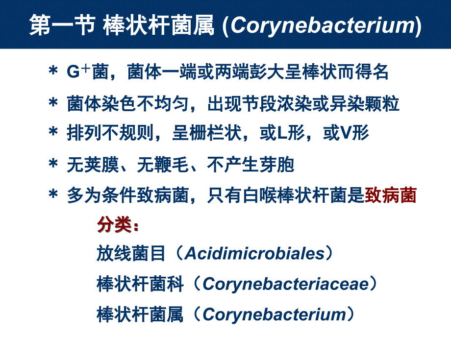 《其他细菌》PPT课件_第2页