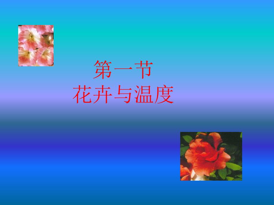 h5花卉与环境因子_第3页