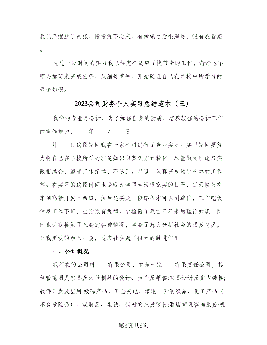 2023公司财务个人实习总结范本（3篇）.doc_第3页