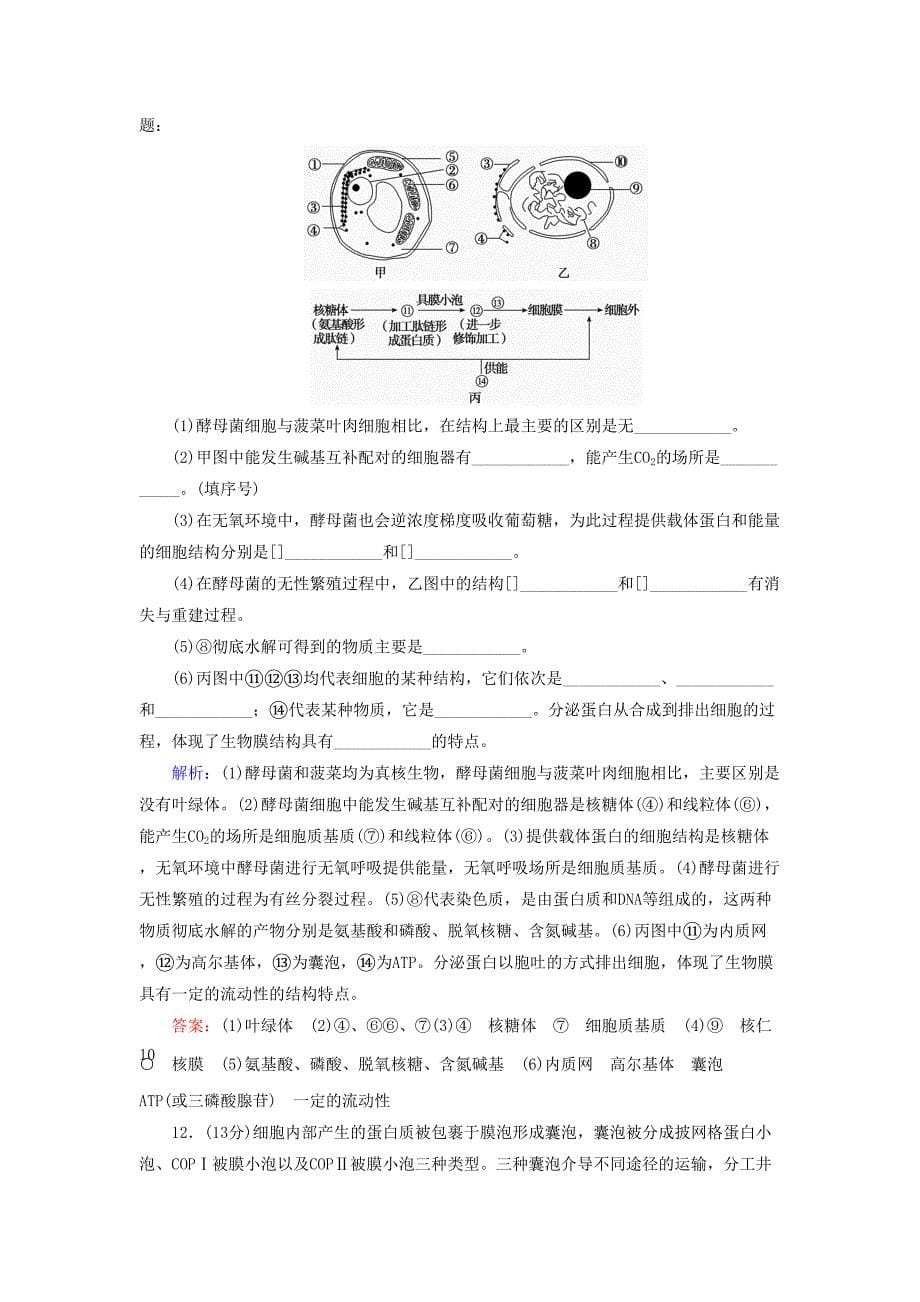 届高考生物大一轮复习第二章细胞的结构和物质运输功能单元检测卷解析_第5页