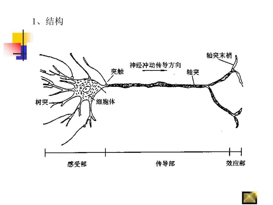 Ch9人工神经网络newPPT文档_第5页