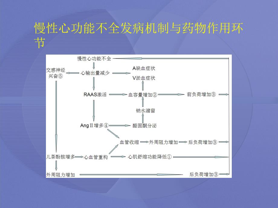 [药理学]19第十九章--抗慢性心功能不全药ppt课件_第4页