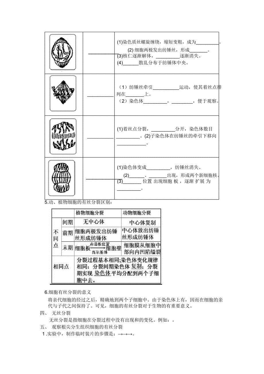 细胞增殖导学案_第3页