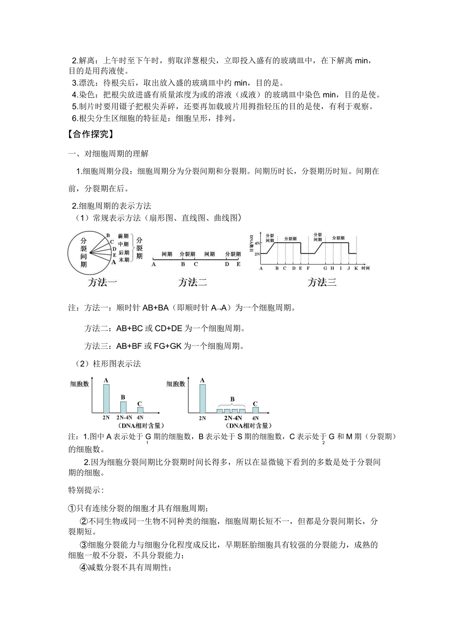 细胞增殖导学案_第4页