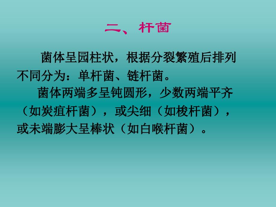 第一篇细菌学总论_第4页