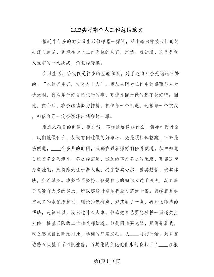 2023实习期个人工作总结范文（九篇）.doc