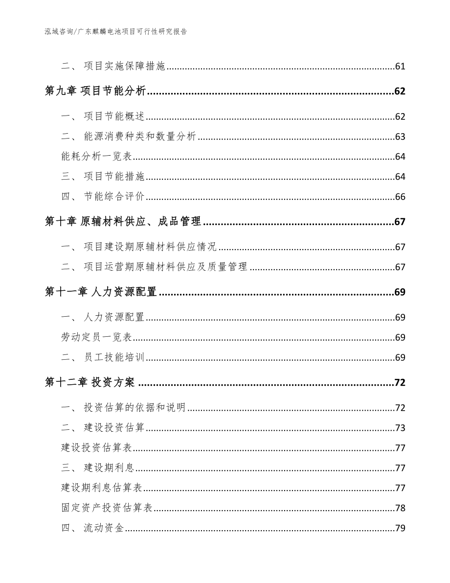 广东麒麟电池项目可行性研究报告【模板范文】_第4页