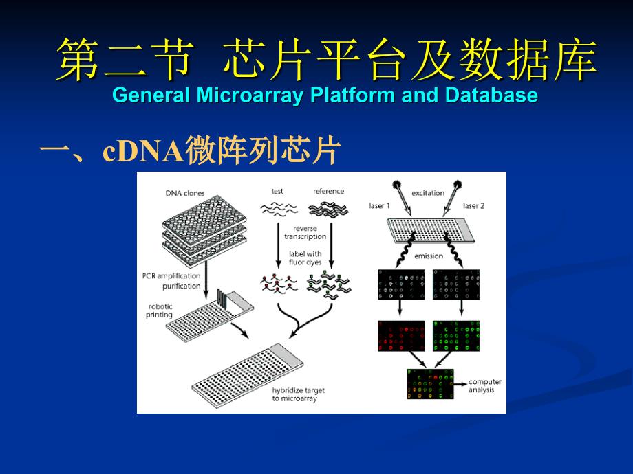 生物信息学讲义——基因芯片数据分析资料课件_第3页