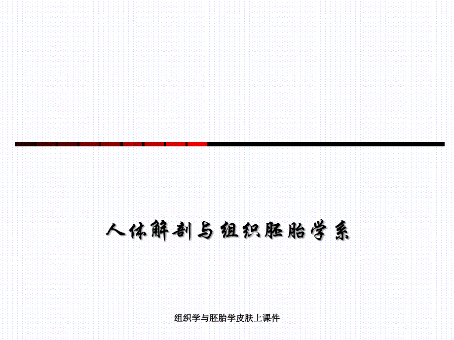 组织学与胚胎学皮肤上课件_第1页