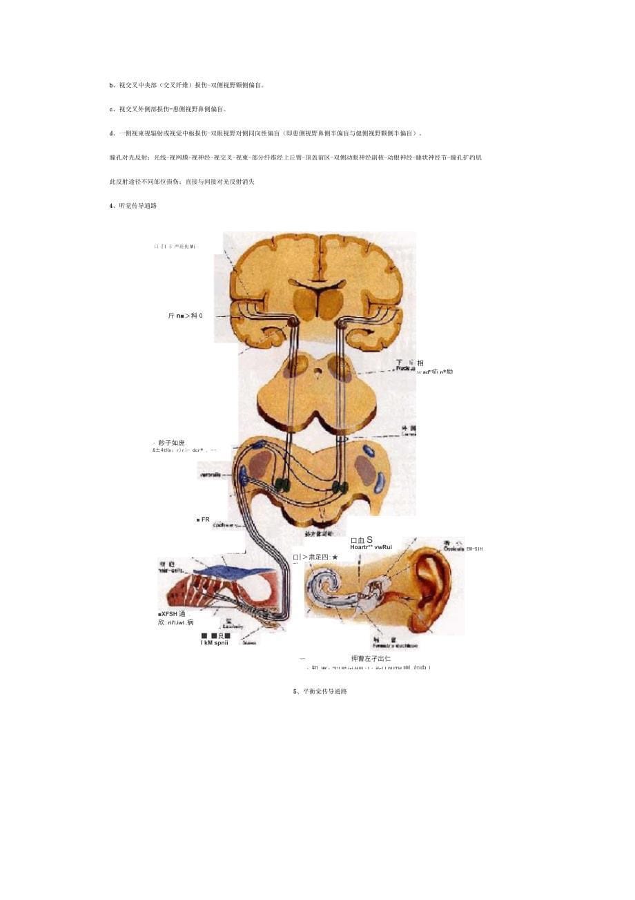 各种传导通路汇总_第5页