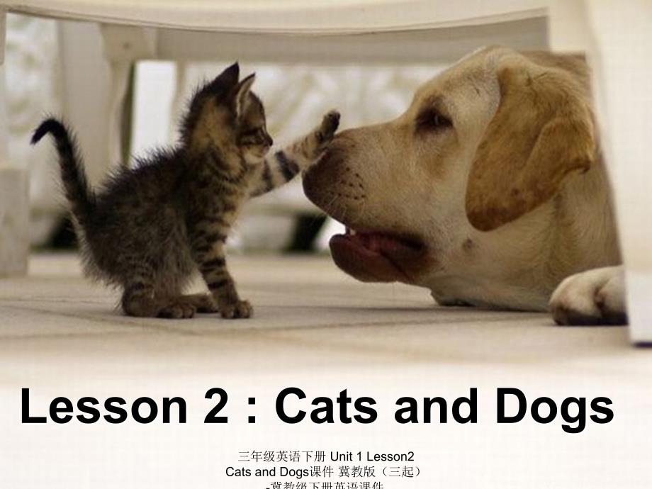 最新三年级英语下册Unit1Lesson2CatsandDogs_第1页