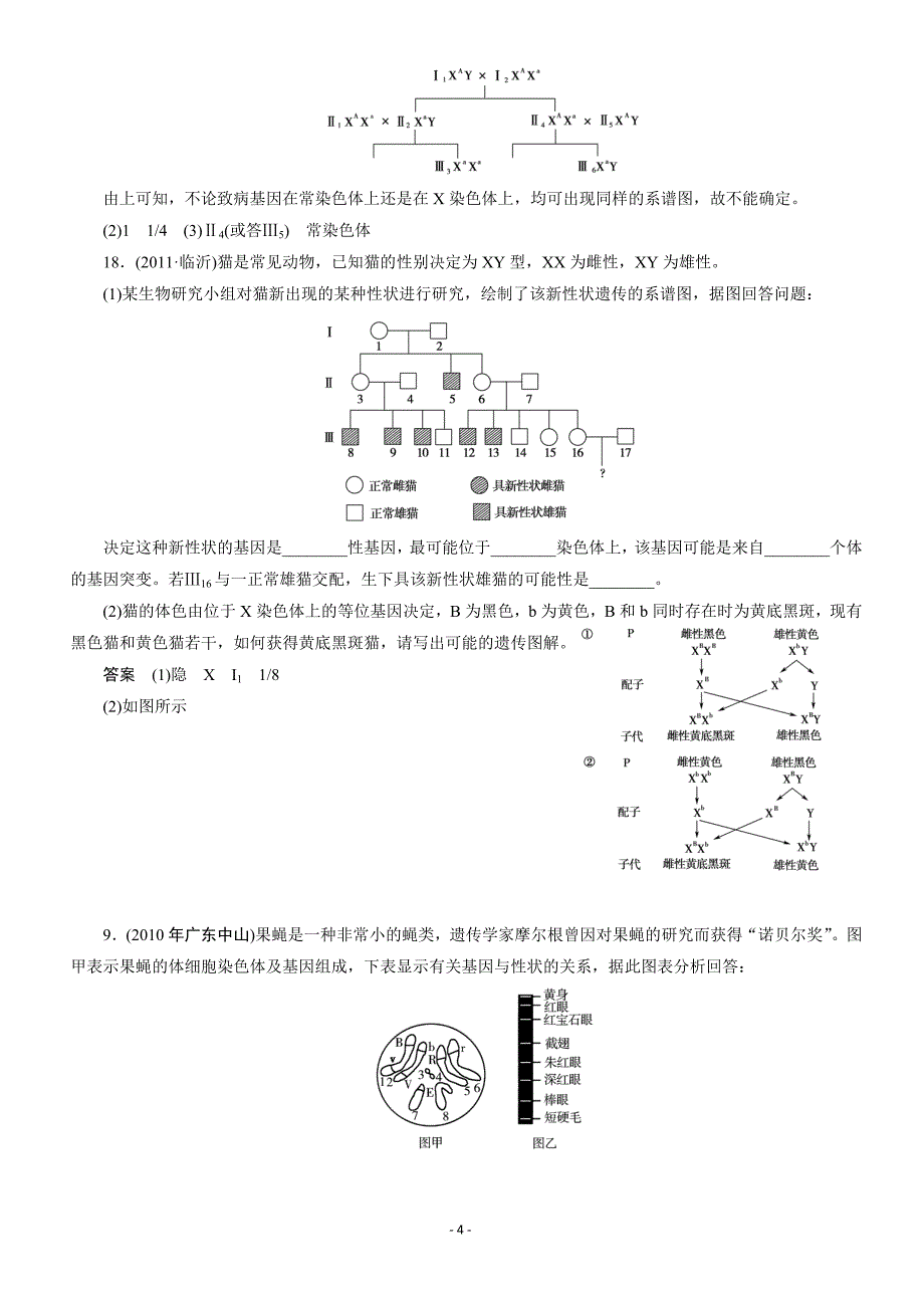 基因在染色体上和伴性遗传.doc_第4页